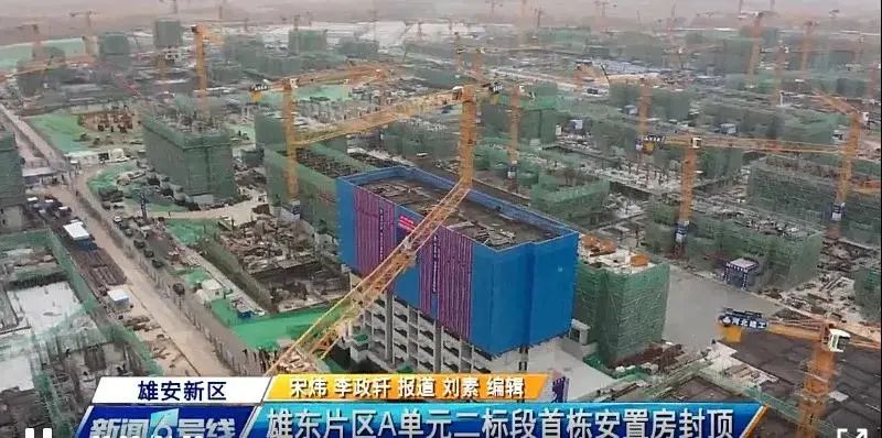 焦點(diǎn)！大將軍驚艷亮相雄安德維斯建博會(huì)，流量爆棚引圍觀！(圖7)
