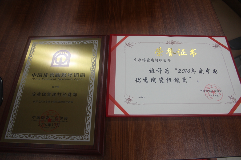 捷報(bào)：2016年度中國陶瓷優(yōu)秀經(jīng)銷商頒獎(jiǎng)典禮 大將軍陶瓷載譽(yù)而歸
(圖6)