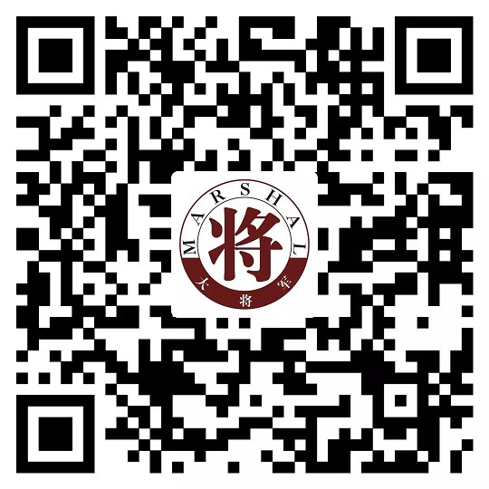 攻略丨了解多姿多彩的瓷磚紋理，才能裝出時尚有范的美好生活！
(圖14)