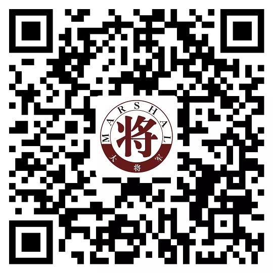 攻略丨了解多姿多彩的瓷磚紋理，才能裝出時尚有范的美好生活！
(圖17)