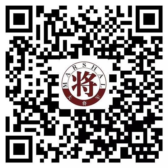 攻略丨了解多姿多彩的瓷磚紋理，才能裝出時尚有范的美好生活！
(圖11)