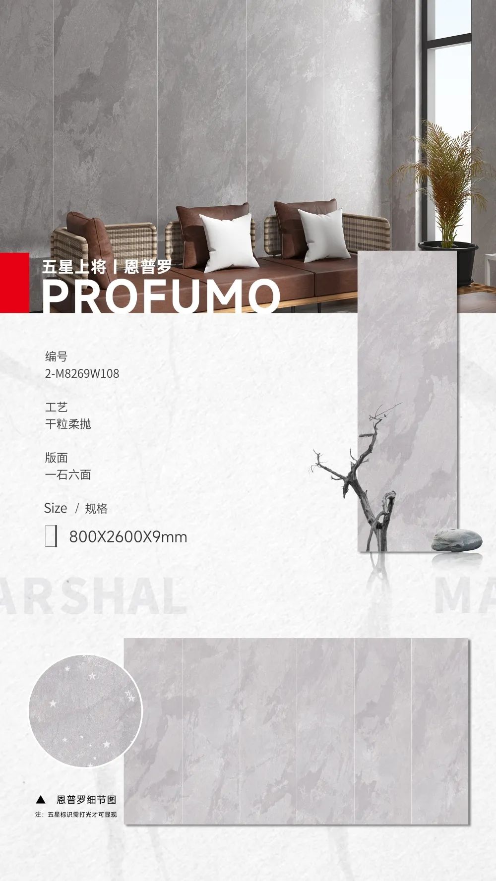 五星上將| 超級IP產(chǎn)品，打造理想生活樣本(圖7)